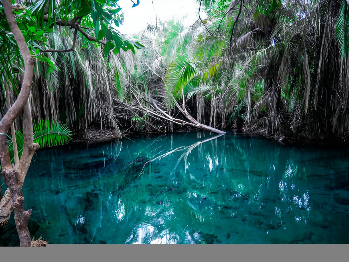 Chemka Hot Springs Day Trip