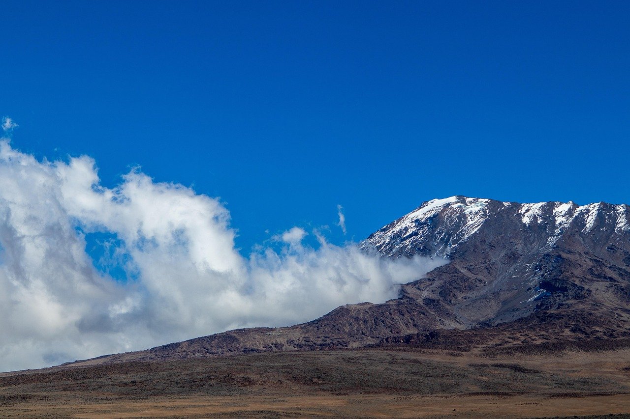1 Day Kilimanjaro Trek Experience